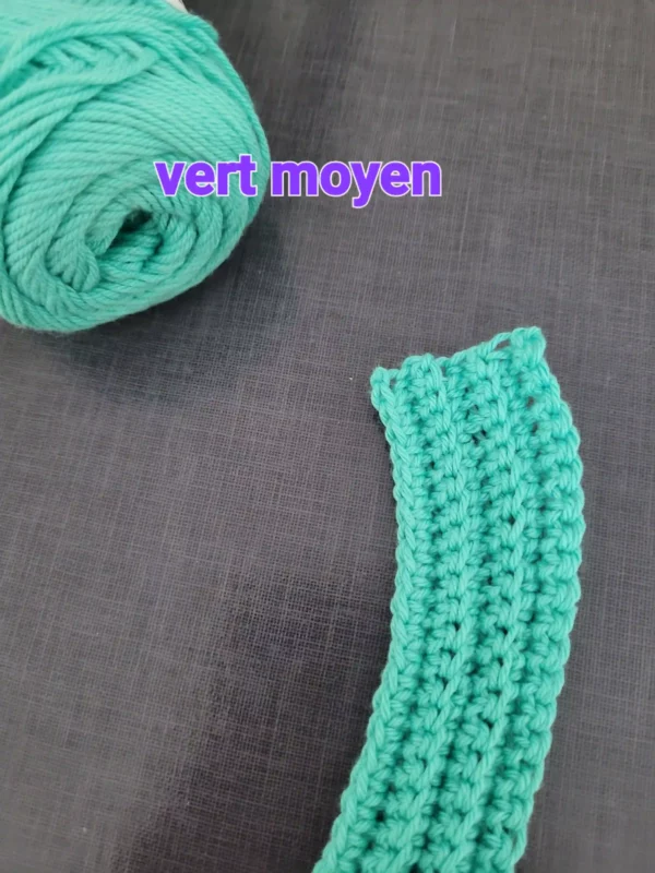 bande crochetée couleur vert moyen